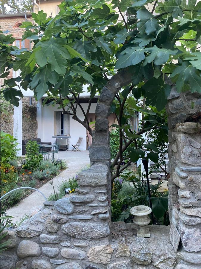 Ferienwohnung Sculptors Retreat Céret Exterior foto